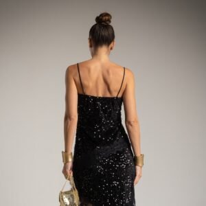 177705 Seksualios palaidinės žvilgantys žvyneliai!